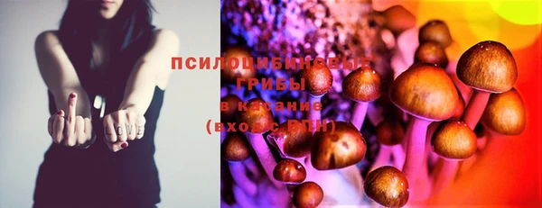 меф Дмитриев
