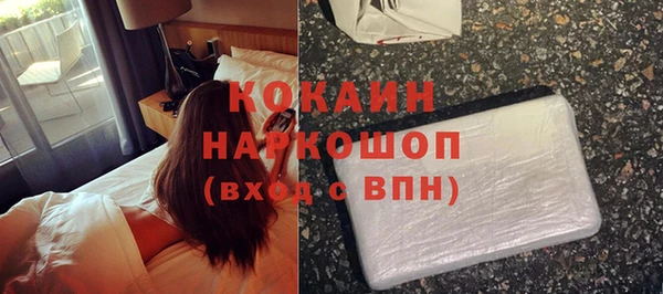 меф Дмитриев