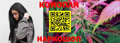 ГАЛЛЮЦИНОГЕННЫЕ ГРИБЫ Канаш