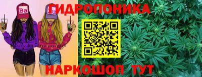 ГАЛЛЮЦИНОГЕННЫЕ ГРИБЫ Канаш