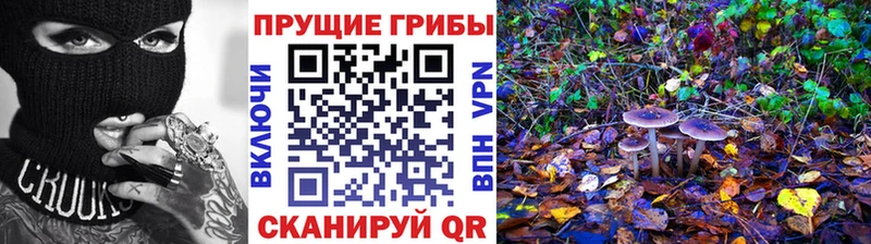 Галлюциногенные грибы Psilocybe Сердобск