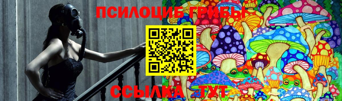 Псилоцибиновые грибы мухоморы Сердобск