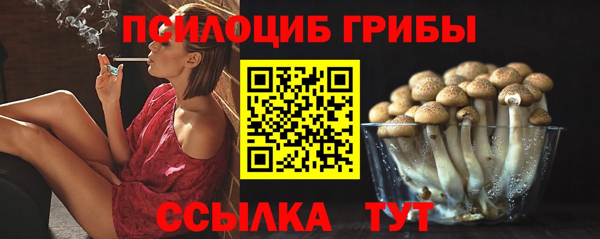 Псилоцибиновые грибы Psilocybine cubensis  Галлюциногенные грибы прущие грибы  купить  сайты  Сердобск  Вход с VPN 