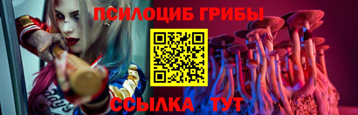 Псилоцибиновые грибы Cubensis  закладки  Сердобск  Псилоцибиновые грибы прущие грибы 